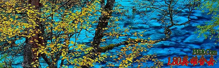 迷失传奇第六季漏洞