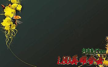 ��ҳ���̬����˽��