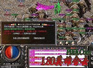 ��ʲô���������κ���