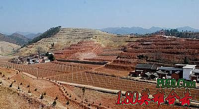 ���´��渨����Ѱ�