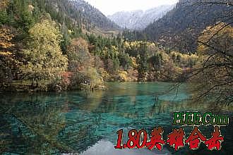 1.76����ˢǮ