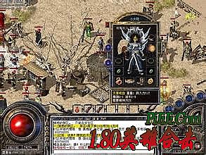 ���������ʿ����װ��