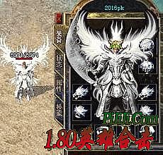 ����������ݿ����