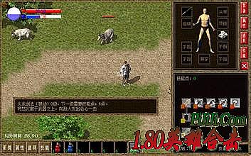 ʢ��С����Ȩ������