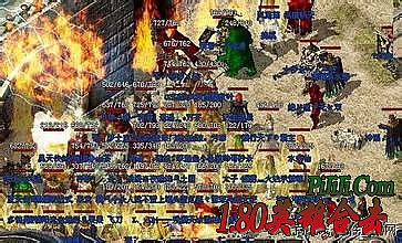 ����̬������վ