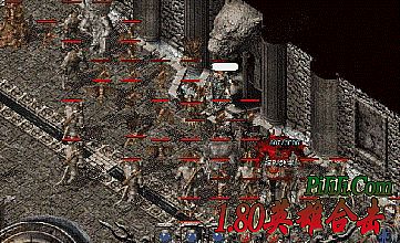 ���뵥ְҵ���湥��