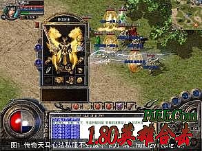 ���紫���������