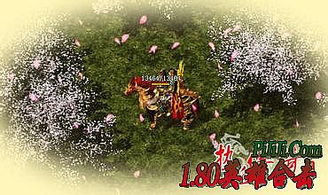 1.76���Ŵ��油������